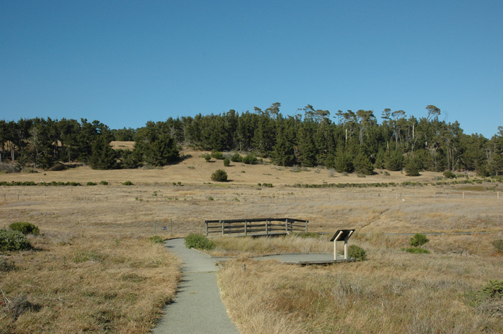 Cambria and Cayucos 054.jpg